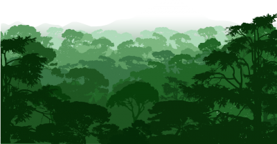 Across the Trees and Through the Forest
