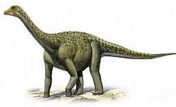 Dinosaurs